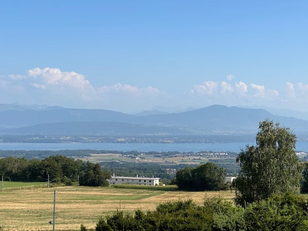 Aperçu de l'image de l'immobilier