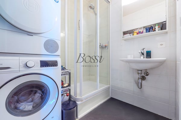 Duplex avec terrasse, vue dégagée à 10mn de Nyon gare 7