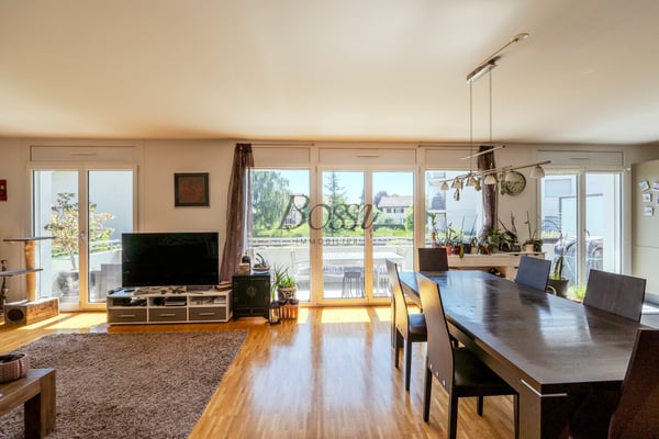 Duplex avec terrasse, vue dégagée à 10mn de Nyon gare 2