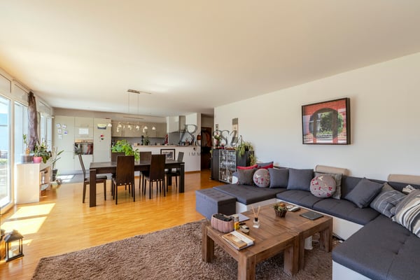 Duplex avec terrasse, vue dégagée à 10mn de Nyon gare 3