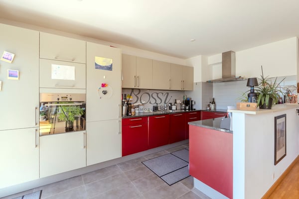 Duplex avec terrasse, vue dégagée à 10mn de Nyon gare 5