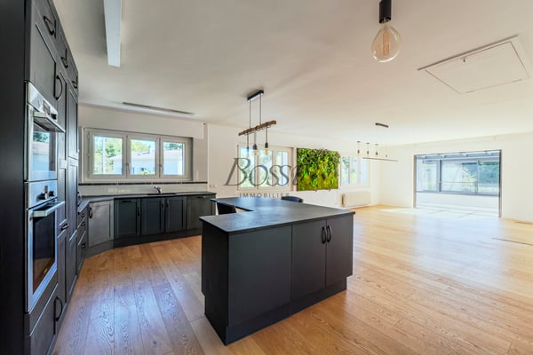 Maison individuelle rénovée de 5 chambres avec garage et jardin 3