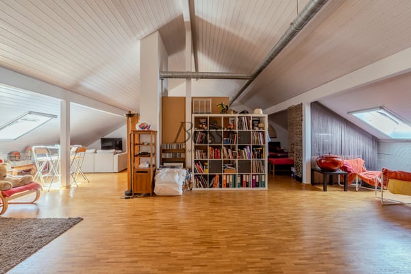 Duplex avec terrasse, vue dégagée à 10mn de Nyon gare 11