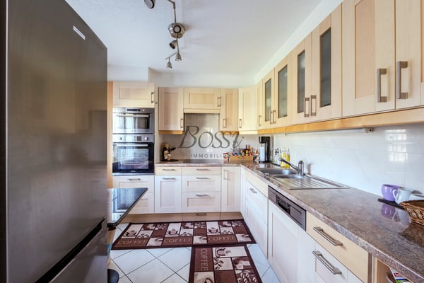 Maison de village, vue lac & Alpes, 2 apps, revenu immédiat 6