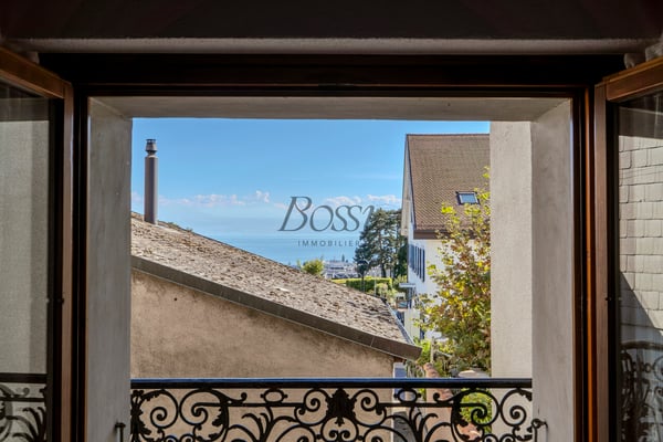 Maison de village, vue lac & Alpes, 2 apps, revenu immédiat 11