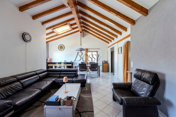 Maison de village, vue lac & Alpes, 2 apps, revenu immédiat 3