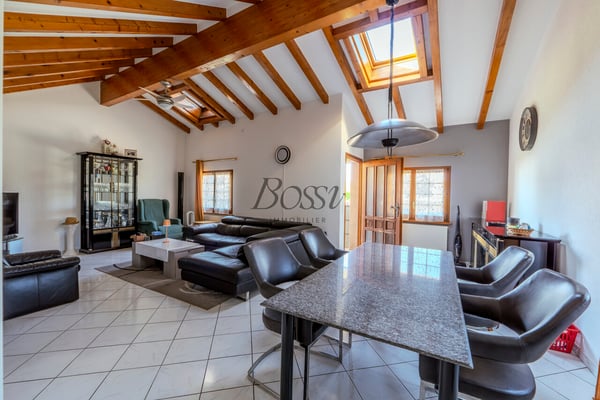 Maison de village, vue lac & Alpes, 2 apps, revenu immédiat 4