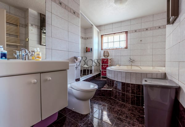 Maison de village, vue lac & Alpes, 2 apps, revenu immédiat 8