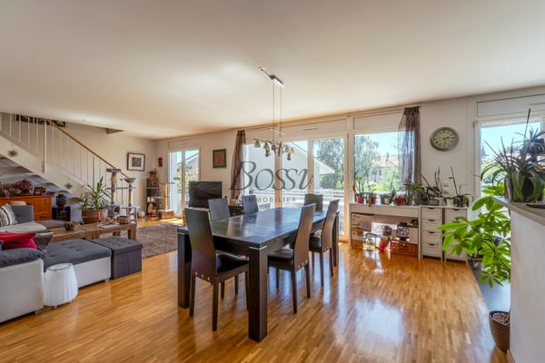 Duplex avec terrasse, vue dégagée à 10mn de Nyon gare 4