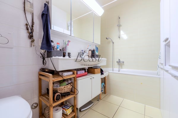 Duplex avec terrasse, vue dégagée à 10mn de Nyon gare 9