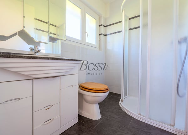 Maison individuelle rénovée de 5 chambres avec garage et jardin 11