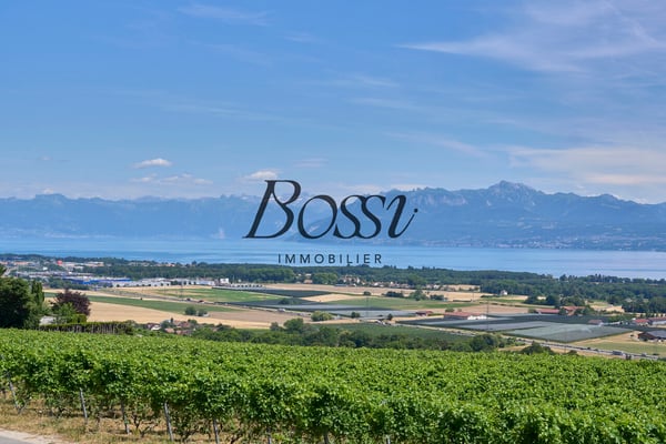 Un belvédère contemporain face au Léman 3
