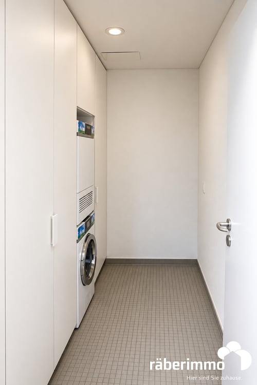 ATTIKAWOHNUNG MIT WEITBLICK ÜBER DIE REUSS 8