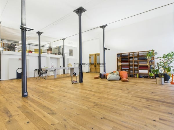 Arbeiten im Atelier mit 250m2, Galerie und privatem Kino 10