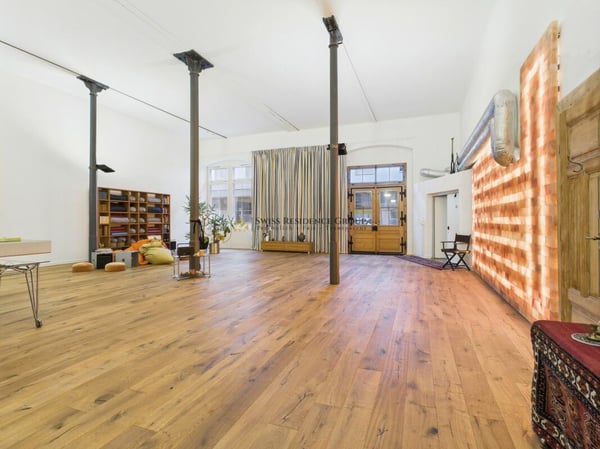 Arbeiten im Atelier mit 250m2, Galerie und privatem Kino 12