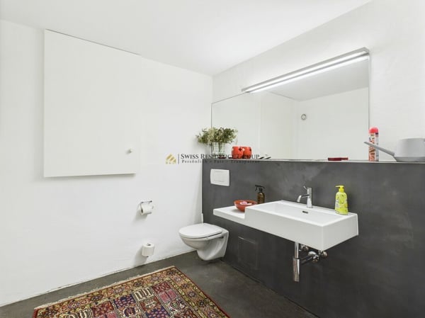 Arbeiten im Atelier mit 250m2, Galerie und privatem Kino 6