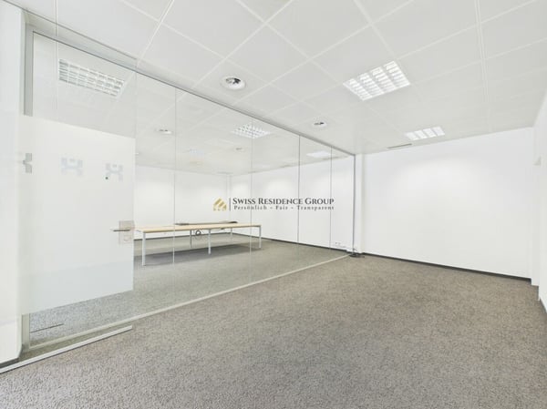 Grosse Gewerbefläche für diverse Nutzungsmöglichkeiten 4