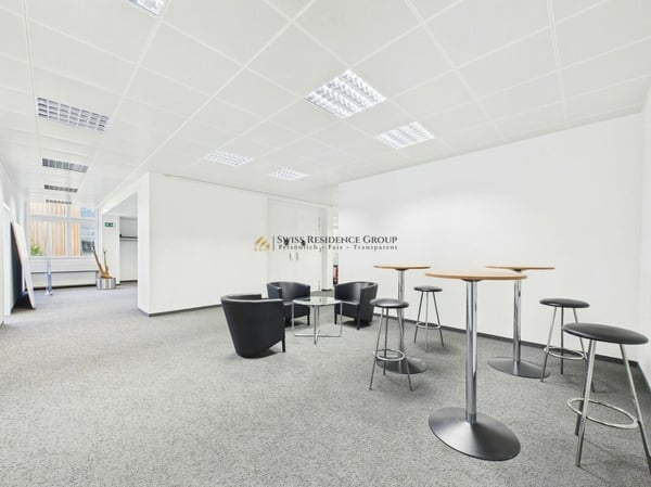 Grosse Gewerbefläche für diverse Nutzungsmöglichkeiten 10