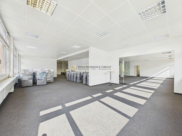 Grosse Gewerbefläche für diverse Nutzungsmöglichkeiten 7