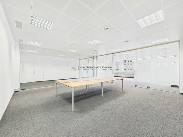 Grosse Gewerbefläche für diverse Nutzungsmöglichkeiten 6