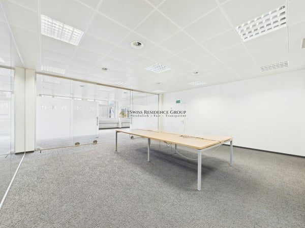 Grosse Gewerbefläche für diverse Nutzungsmöglichkeiten 5