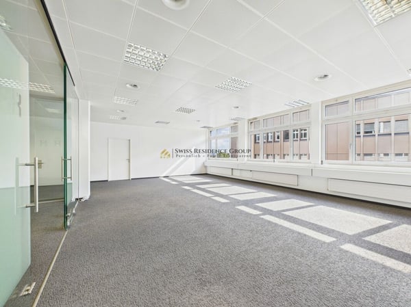 Grosse Gewerbefläche für diverse Nutzungsmöglichkeiten 8