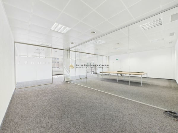 Grosse Gewerbefläche für diverse Nutzungsmöglichkeiten 3