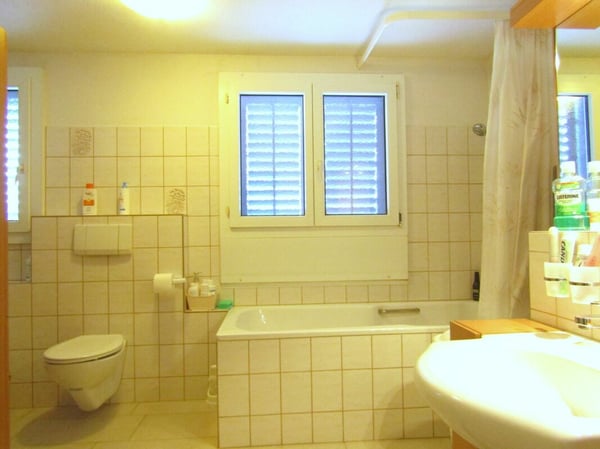 Freistehendes Einfamilienhaus mit 10m2 Geschäftsanbau 12