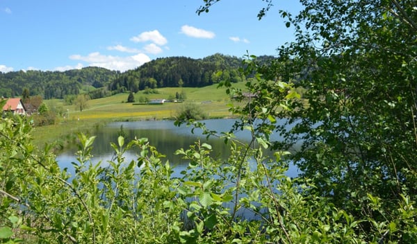 Investieren mit Weitblick - Vollvermietetes Mehrfamilienhaus mit Potenzial 19