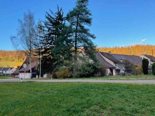 Bauland mit viel Potential! 3