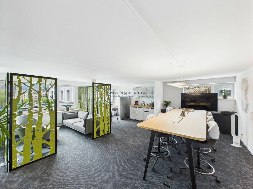 Modern office in the heart of Zurich with a dreamy view