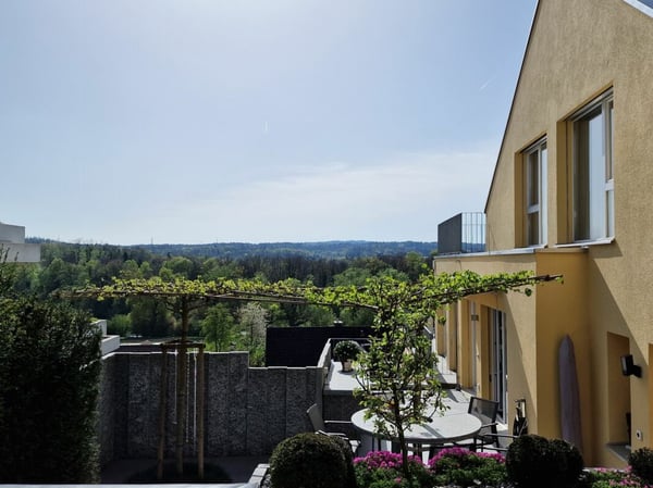 Terrassenhaus mit viel Privatsphäre und Blick zur Reuss und den Bergen 22