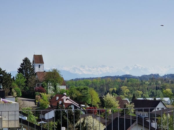 Terrassenhaus mit viel Privatsphäre und Blick zur Reuss und den Bergen 6