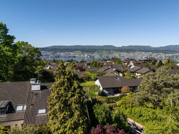 Sonniger Wohntraum an der Goldküste - grosszügiges 5.5-Zimmer-Reihenhaus am Waldrand 3