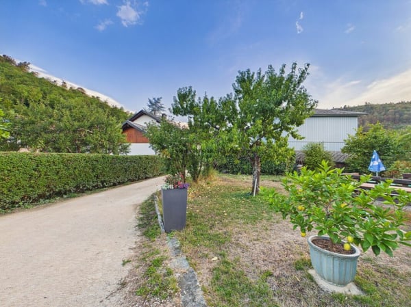 Einfamilienhaus mit Garten- ideal für Gartenliebhaber 3