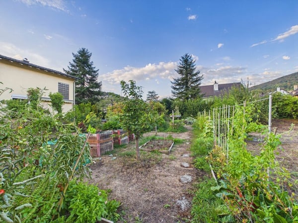 Einfamilienhaus mit Garten- ideal für Gartenliebhaber 4