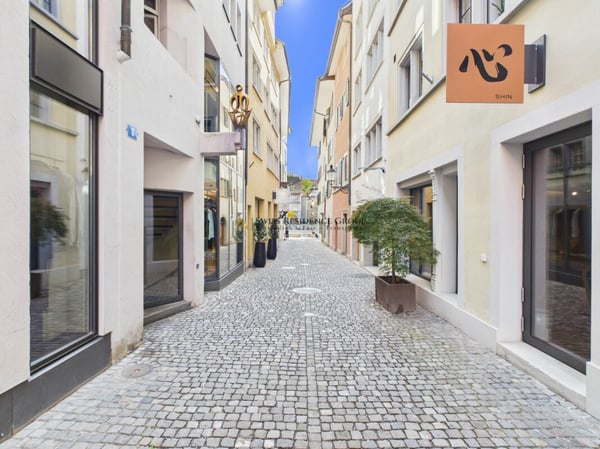Exklusive 2.5-Zimmer-Wohnung mit Grossmünster- & Limmatblick 15