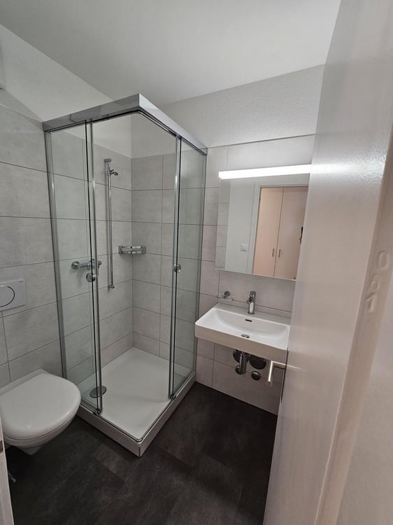 Energetisch sanierte 2-Zimmerwohnung im Breitenrainquartier 4