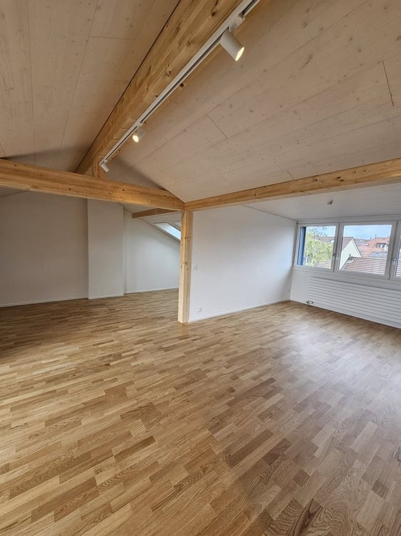 Zu vermieten zwei 2,5-Zimmerwohnungen im Loftstyle 3