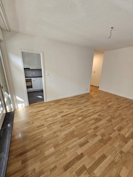 Energetisch sanierte 2-Zimmerwohnung im Breitenrainquartier 8