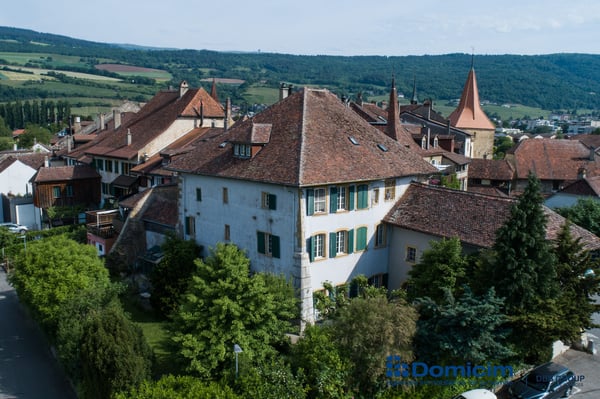Authentique demeure de caractère de 7 appartements 1