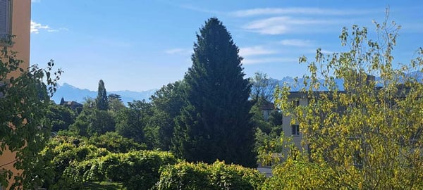 Grand 1.5 pièces avec balcon, EXCLUSIVITE 8