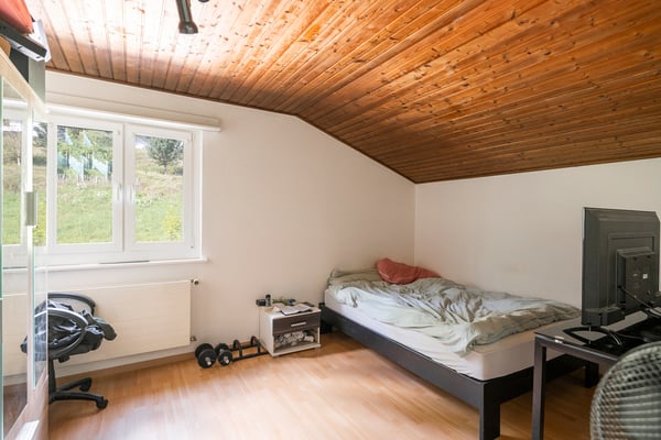 Parcelle de 2'446 m2, maison locative et bâtiments artisanaux 12