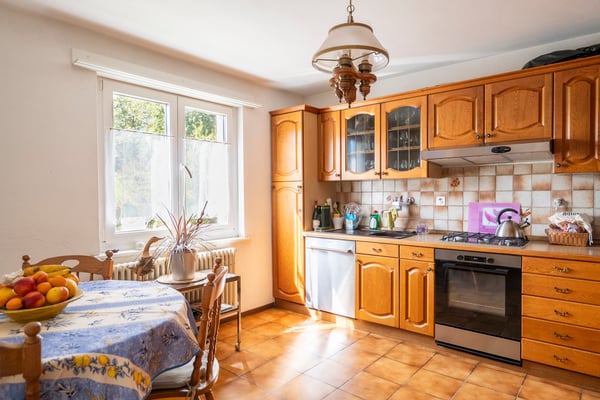 Parcelle de 2'446 m2, maison locative et bâtiments artisanaux 13