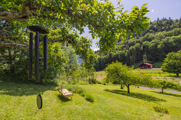 Votre havre de paix situé dans un charmant hameau proche de Leysin ! 5