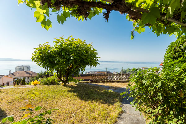 Vue imprenable sur le lac et les Alpes pour cette villa de 7.5 pièces 11