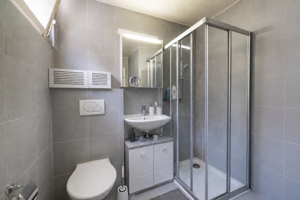 Petit immeuble de rendement entièrement loué à 20 minutes de Verbier 12