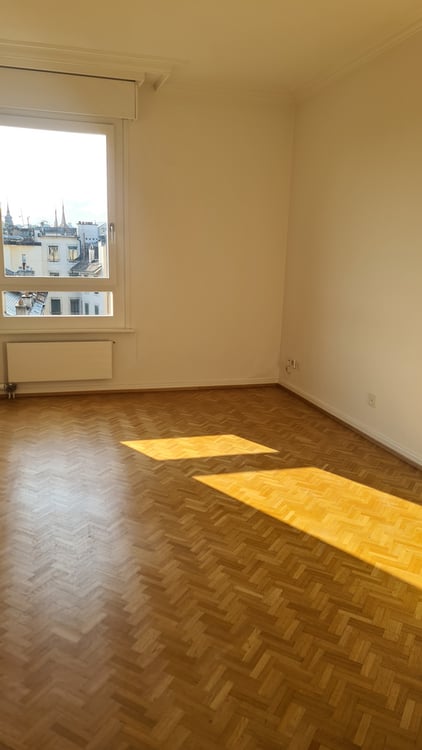 Appartement d'exception de 2 pièces avec vue sur le jet d'eau 9