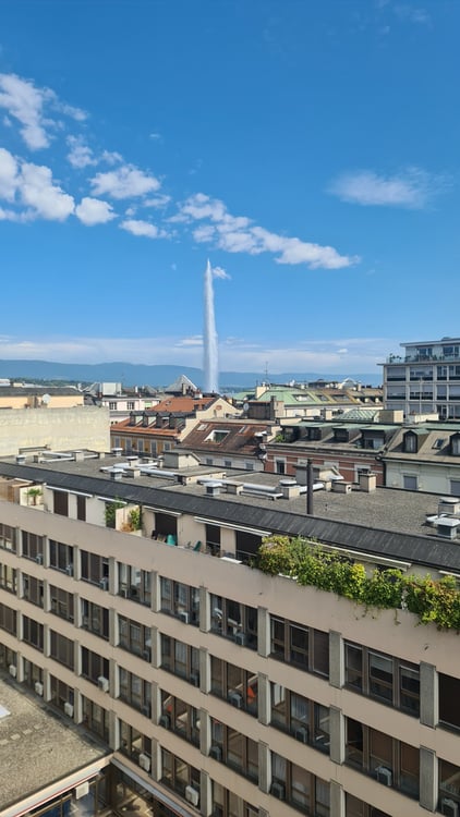 Appartement d'exception de 2 pièces avec vue sur le jet d'eau 1