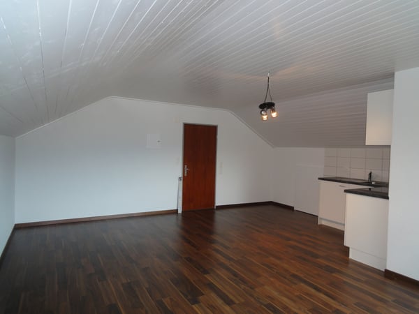 STUDIO IM HERZEN VON AESCH 3